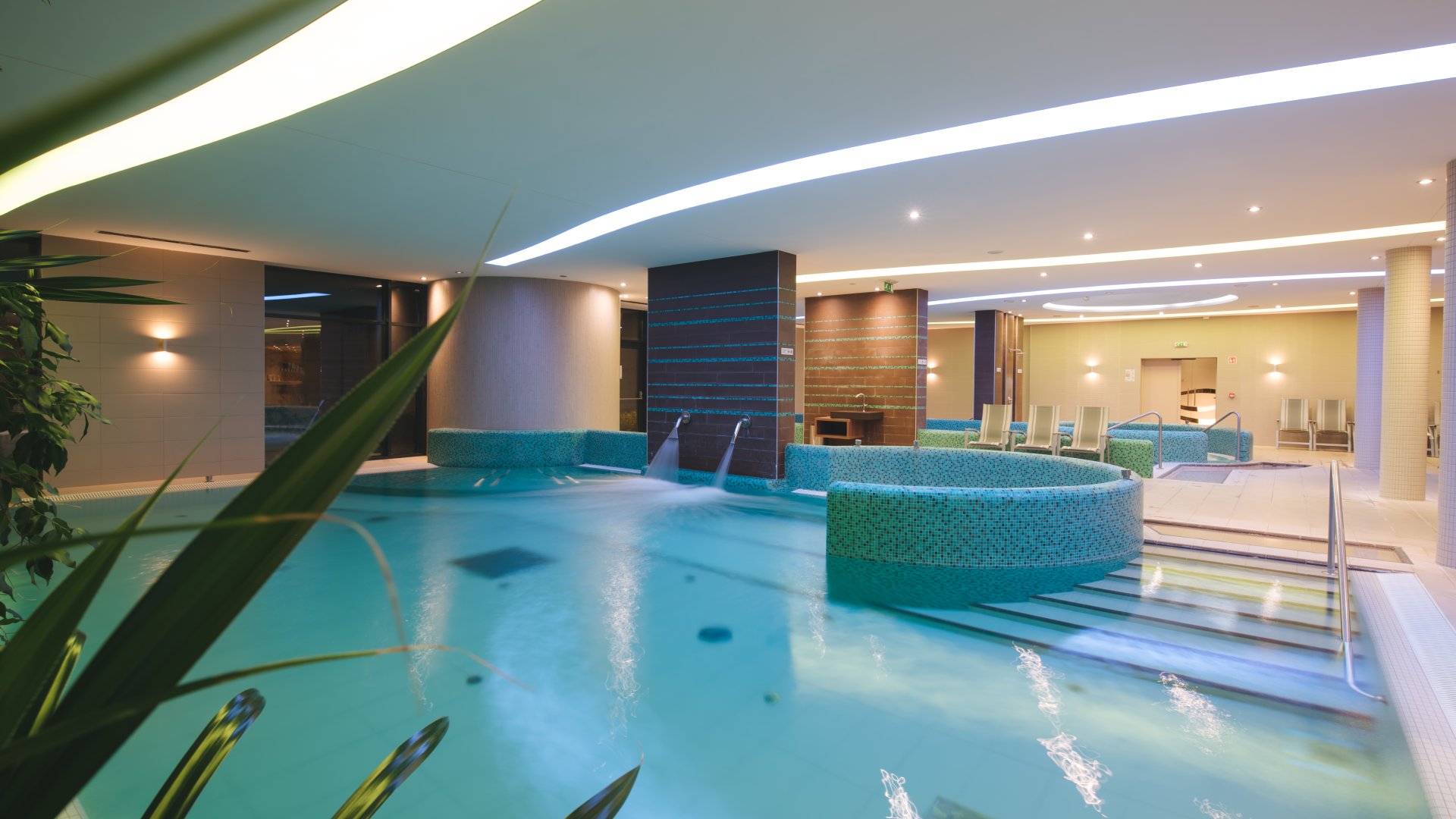 Wellness