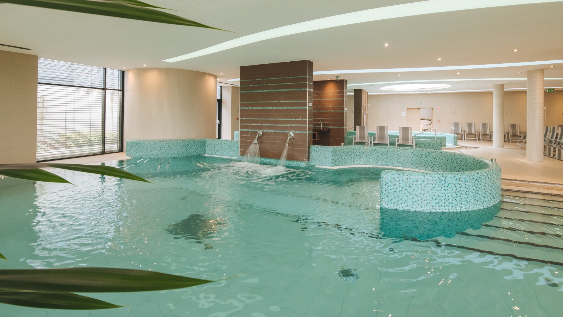 Wellness