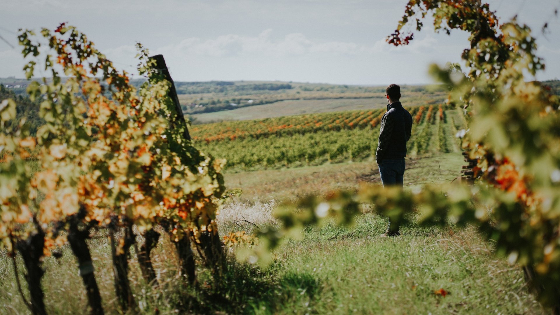 Toszkána ihlette pincészet Egerben