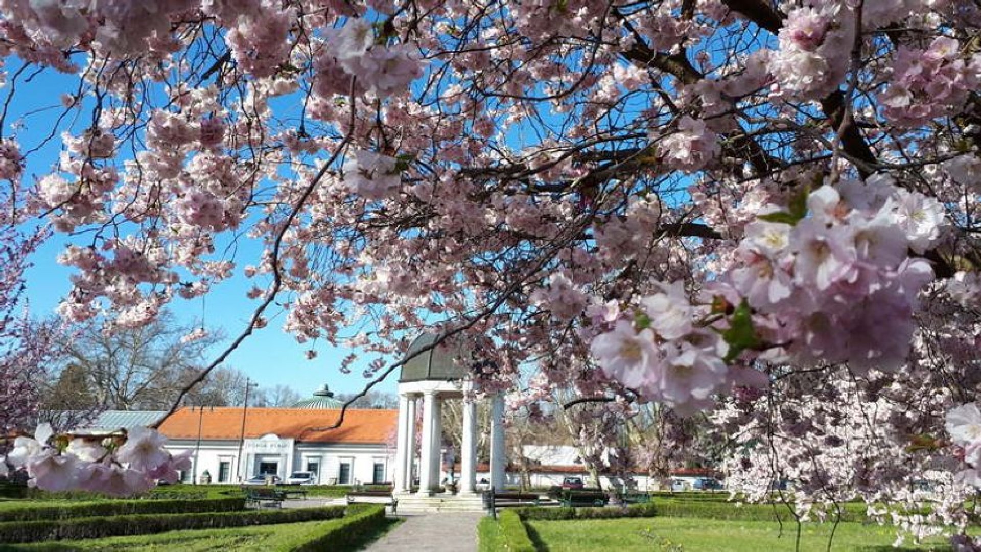 Spring in Eger - the city in bloom