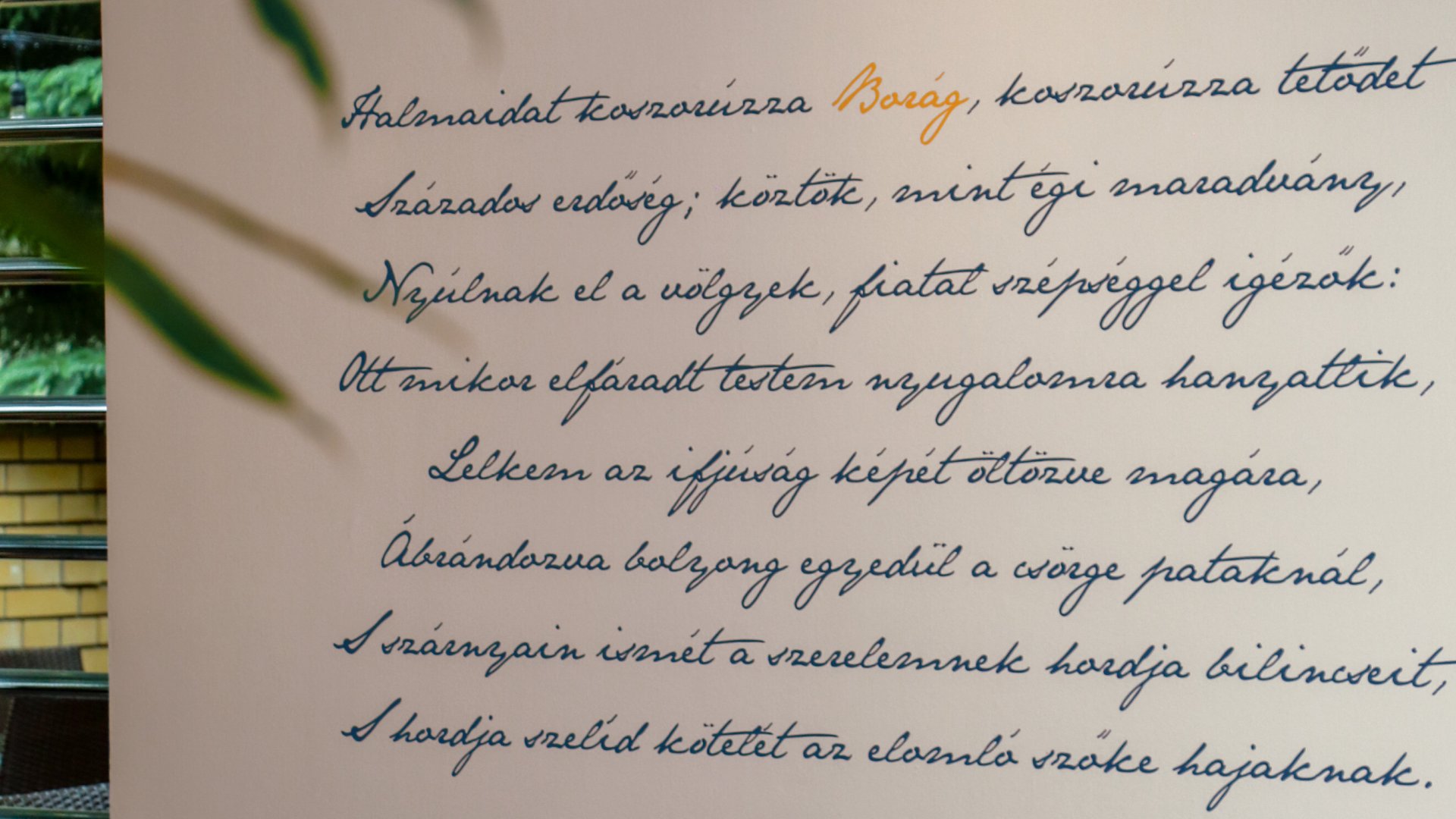 Spanish dinner evening with Mediterranean dishes and sangria at Borág Restaurant, Imola Hotel Platán